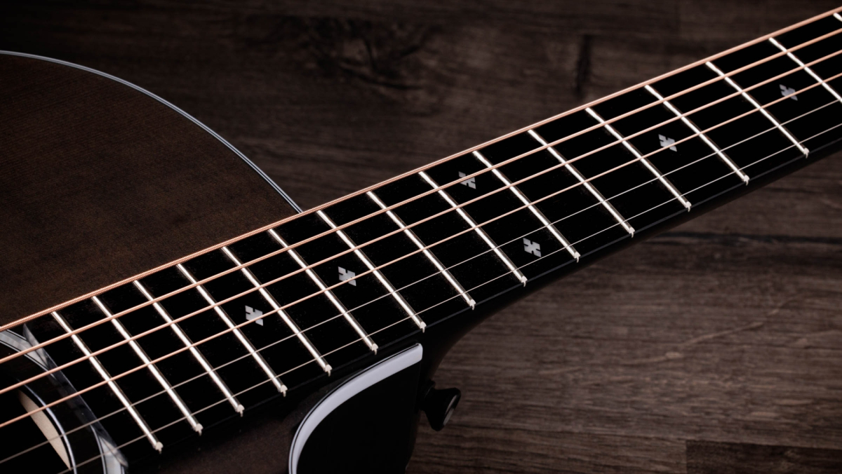 Taylor 214ce Plus Special Edition translucent grey